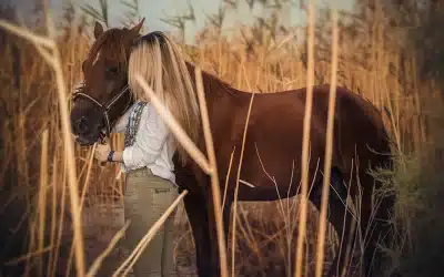 Horse keepsake: a lasting reminder of your galloping beauty